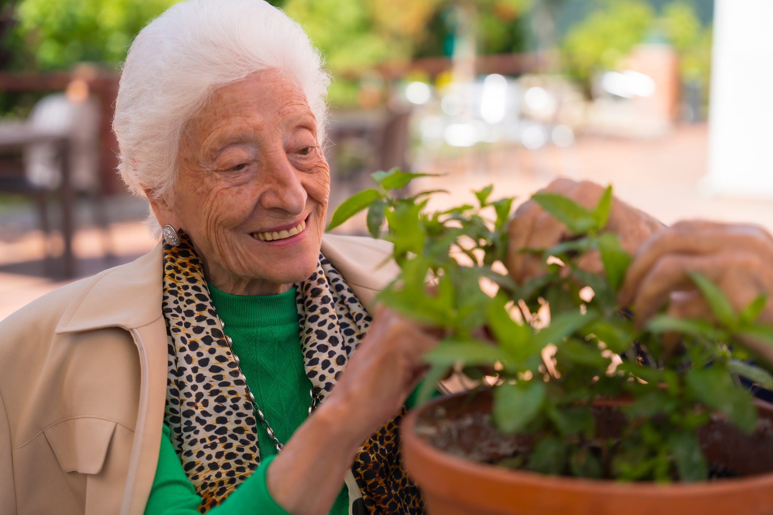 An elderly woman taking care of the flowers in the garden of a nursing home or retirement home, old man and old woman